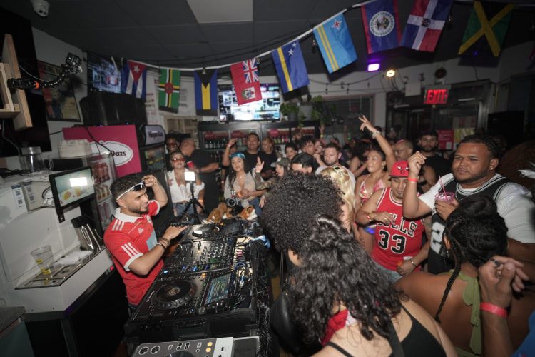 A DJ playing music at a party, with a crowd of people dancing along.