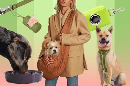 The Best Gifts for Dog Owners, The Most Insufferable Breed of Parent