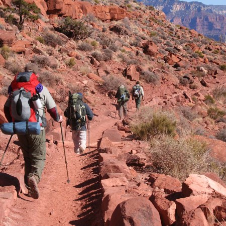 Hikers on a trail in the Grand Canyon