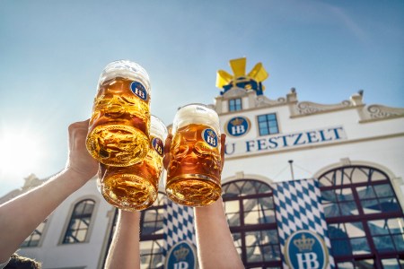 three people holding up steins of Hofbräu beer