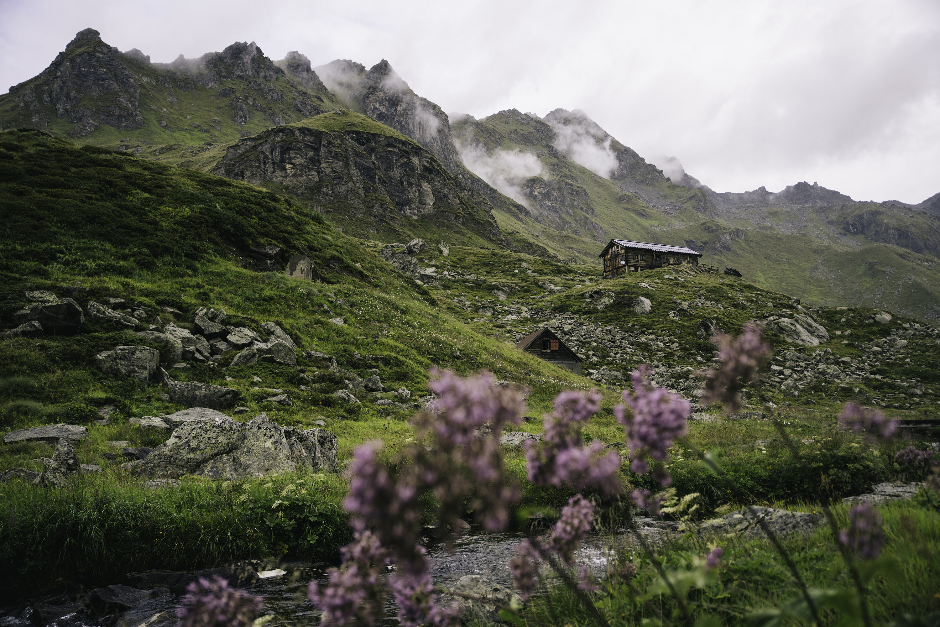 A view of the green hills in the Swiss Alps.