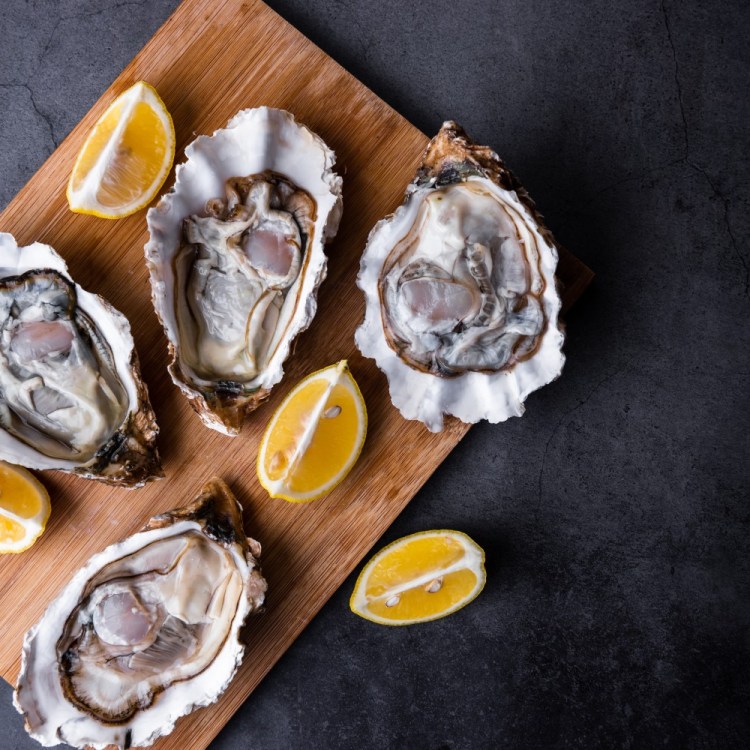 Oysters