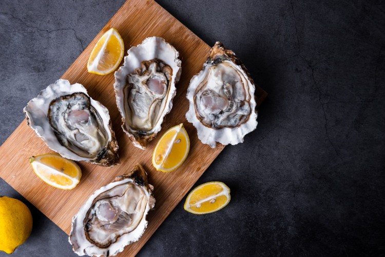 Oysters